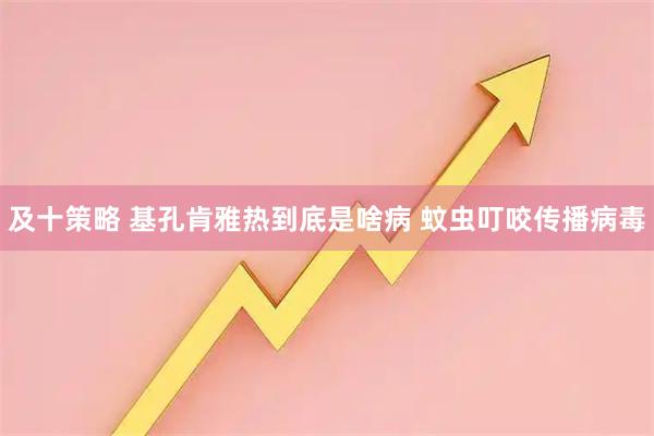 及十策略 基孔肯雅热到底是啥病 蚊虫叮咬传播病毒