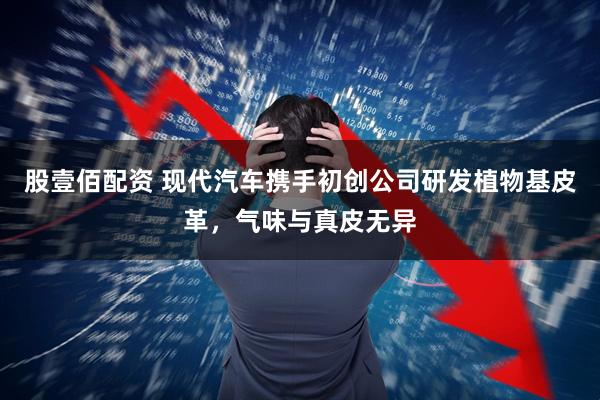 股壹佰配资 现代汽车携手初创公司研发植物基皮革，气味与真皮无异