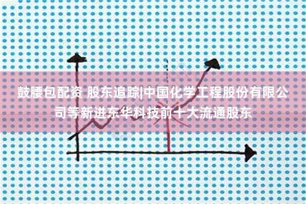 鼓腰包配资 股东追踪|中国化学工程股份有限公司等新进东华科技前十大流通股东