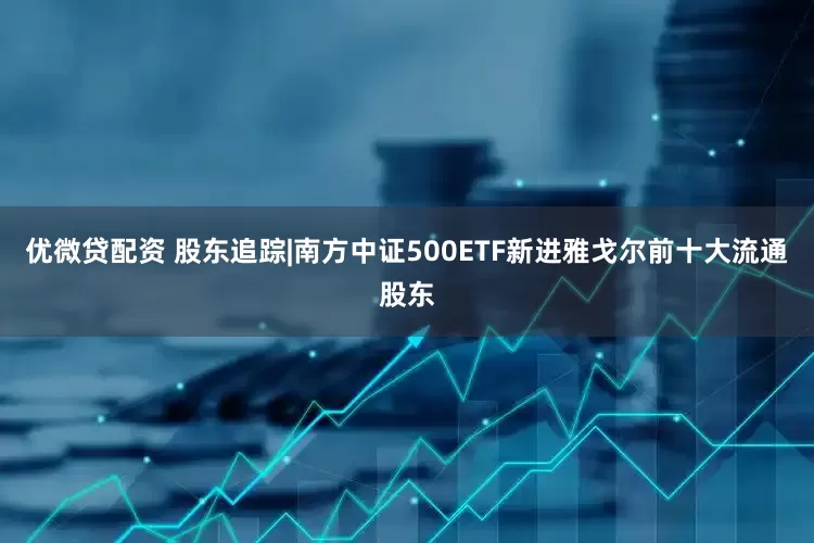 优微贷配资 股东追踪|南方中证500ETF新进雅戈尔前十大流通股东