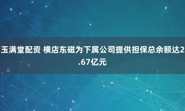 玉满堂配资 横店东磁为下属公司提供担保总余额达2.67亿元