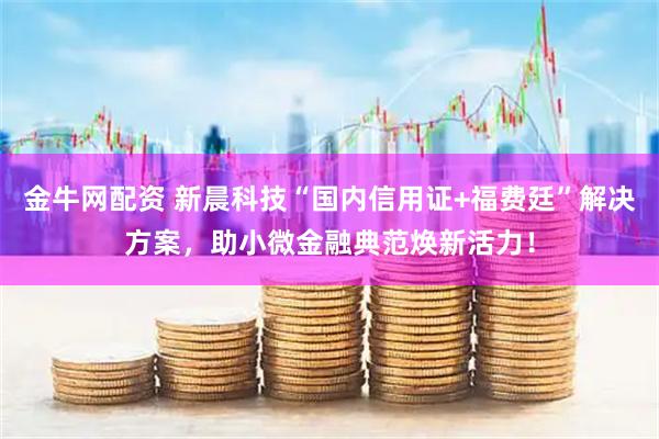 金牛网配资 新晨科技“国内信用证+福费廷”解决方案，助小微金融典范焕新活力！