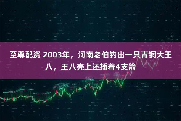 至尊配资 2003年，河南老伯钓出一只青铜大王八，王八壳上还插着4支箭