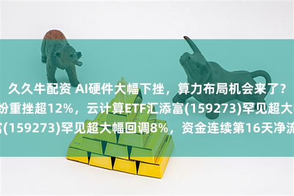 久久牛配资 AI硬件大幅下挫，算力布局机会来了？新易盛、中际旭创纷纷重挫超12%，云计算ETF汇添富(159273)罕见超大幅回调8%，资金连续第16天净流入！