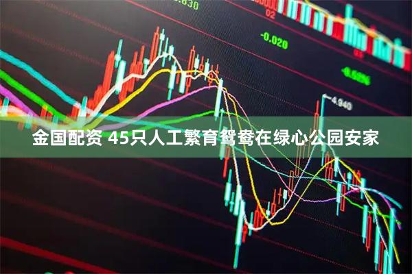 金国配资 45只人工繁育鸳鸯在绿心公园安家